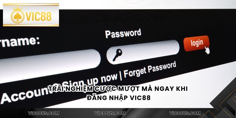Trải nghiệm cược mượt mà ngay khi đăng nhập Vic88